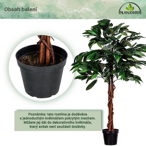 PLANTASIA Sztuczne drzewo mango 120 cm na Arena.pl