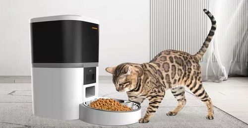 AUTOMATYCZNY PODAJNIK 6L Z KAMERĄ HD1080p Wi-Fi DOZOWNIK KARMY DLA PSA KOTA na Arena.pl