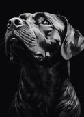 Plakat 13x18cm Portret Zwierząt do Salonu | Labrador | Czarno Białe