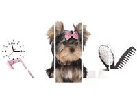 product-compare-58611596