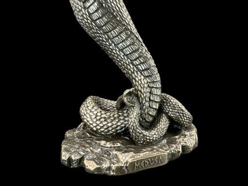 MEDUSA Z ŁUKIEM VERONESE WU77890A1 na Arena.pl