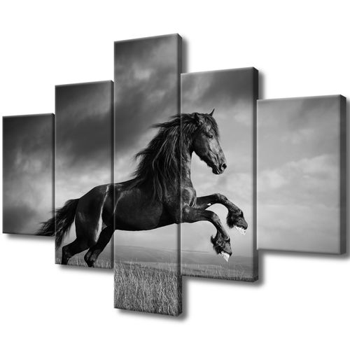 Fotoobraz 100X70 Koń na Arena.pl