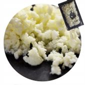 Ziarno kefiru GRZYBEK TYBETAŃSKI 10g na domowy kefir + ebook instrukcja