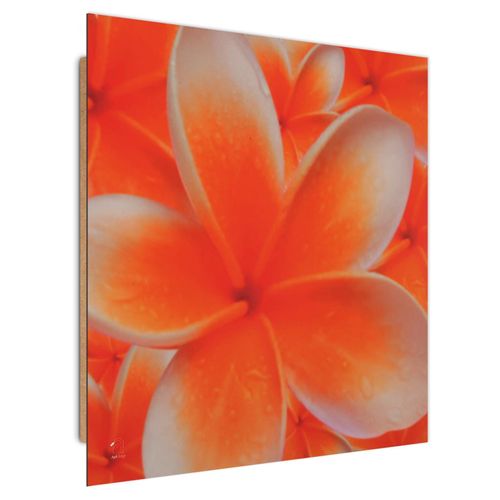 Deco Panel, Kwiat plumerii 1 30x30 na Arena.pl