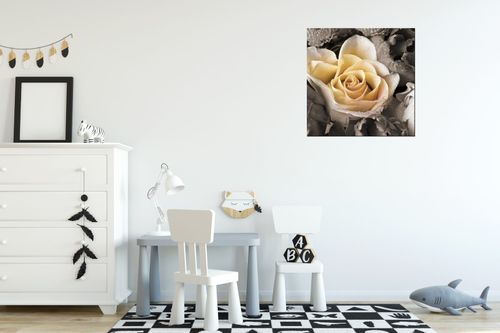 Obraz Płótno 40X40 Delikatna Róża na Arena.pl
