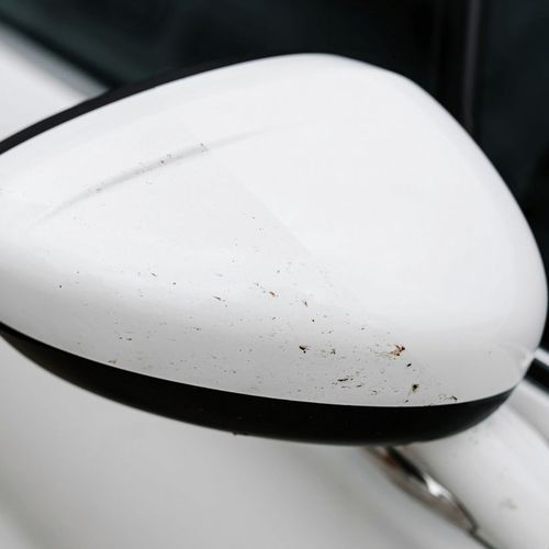 K2 NUTA ANTI INSECT PRO Płyn do usuwania owadów, 1L na Arena.pl