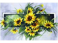 product-compare-58653343