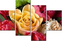 product-compare-58642592