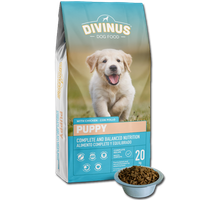 divinus puppy 20kg