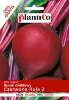 NASIONA Burak Ćwikłowy Czerwona Kula 2 NOE 12g PLANTICO 403413