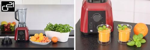 G21 BLENDER KIELICHOWY 2,5L MOCNY 1700W 4 LAT GWAR na Arena.pl