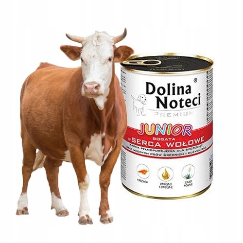 DOLINA NOTECI Premium JUNIOR Mix smaków 12x 400g na Arena.pl