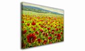 OBRAZ NA PŁÓTNIE 059 Maki 40x30cm