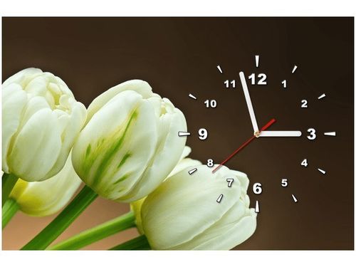 60CM 40CM ZEGAR OBRAZ BIAŁE TULIPANY DRUK PŁÓTNO RAMA na Arena.pl