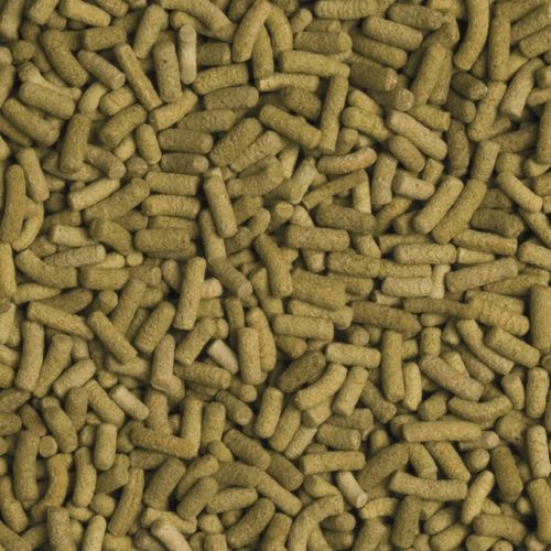 TROPICAL BIOREPT L POKARM DLA ŻÓŁWI LĄDOWYCH 5l 1,4kg na Arena.pl