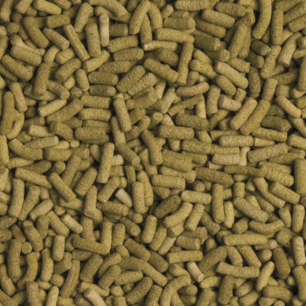 TROPICAL BIOREPT L POKARM DLA ŻÓŁWI LĄDOWYCH 5l 1,4kg zdjęcie 5