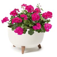 Doniczka misa okrągła nogi 47 cm kremowy