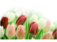 product-compare-58694669