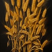 Plakat 100x100cm Złote Żniwa
