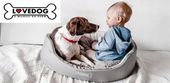 Legowisko dla psa kota POLSKI PRODUKT posłanie kanapa kojec Lovedog S 50x40