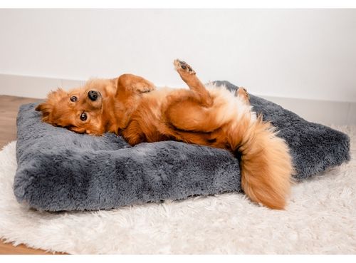 Hipoalergiczna poducha dla psa puchate legowisko Mimiko Shaggy XL 85x65cm na Arena.pl