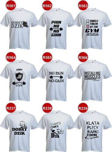 KOSZULKI t-shirt WIECZÓR KAWALERSKI z imieniem na Arena.pl