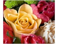 60X50CM ZROSZONA RÓŻA OBRAZ ŚCIAN DREWNIANE