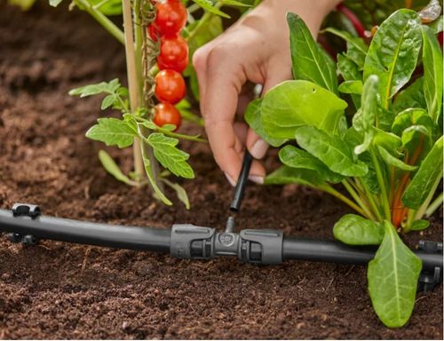 Rozdzielacz GARDENA Micro-Drip-System 13204-20 na Arena.pl
