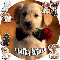 OPŁATEK NA TORT 20CM - PSY PIES PIESEK PSA + IMIĘ + ! 15CM 18CM