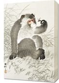 Obraz 40x60cm Monkey with Insect, Koson Japoński Vintage do Salonu
