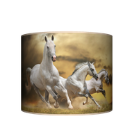 product-compare-60350136