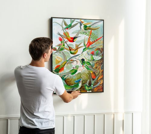 Plakat rajskie ptaki kompozycja 40x50 cm w czarnej ramie na Arena.pl