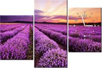 product-compare-58639653