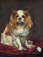 Plakat 60x80cm A King Charles Spaniel,  Edouard Manet do Salonu