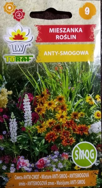 Mieszanka roślin anty-smogowa nasiona 2 g zdjęcie 4