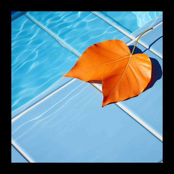 Plakat 20x20cm Liść przy Wodzie zdjęcie 2