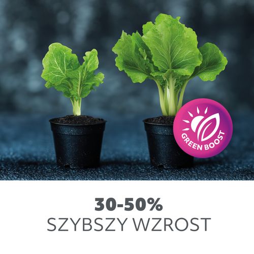 żarówka do roślin led planty 24w e27 1200k kobi na Arena.pl