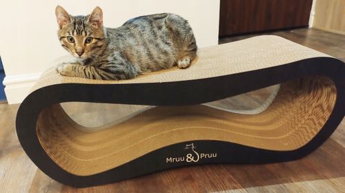 Drapak dla kota LEON | czarny w serca | 78x28x24 cm | MruuPruu na Arena.pl