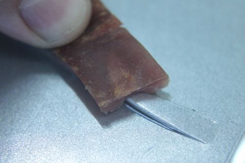 żywołapka pułapka lisy kuny wydry bobry koty skuteczna na Arena.pl