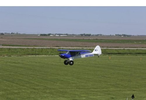 E-flite Carbon-Z Cub BNF Basic na Arena.pl