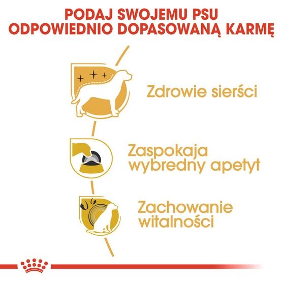 Karma z prebiotykiem dla psów dorosłych Yorkshire Terrier Royal Canin 3kg zdjęcie 5