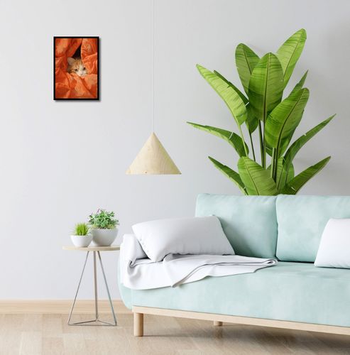 Plakat 25x35cm Ukryty Kot na Arena.pl