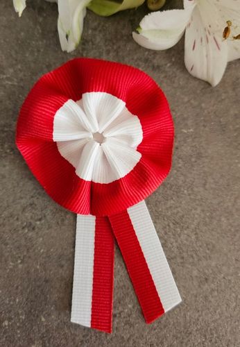 Kotyliony narodowe rozetka 2 patriotyczne 11 listopada przypinki 4 szt na Arena.pl