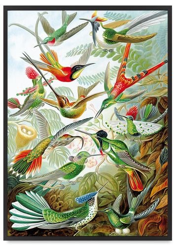 Plakat rajskie ptaki kompozycja 40x50 cm w czarnej ramie na Arena.pl