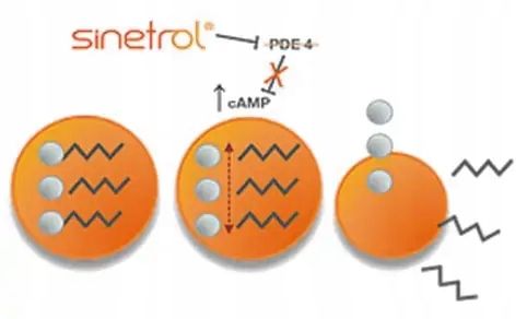 TABLETKI ZMNIEJSZAJĄCE APETYT + SPALACZ TŁUSZCZU, usuwanie wody - Burn Dry na Arena.pl