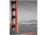 40X50CM GOLDEN GATE FRANCO FOLINI OBRAZ