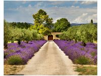 40X50CM DROGA PROWANSJI OBRAZ