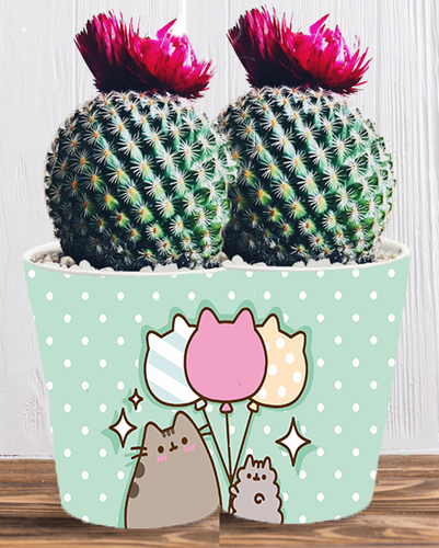 Doniczka do kwiatów/roślin - Pusheen - Kotek na Arena.pl