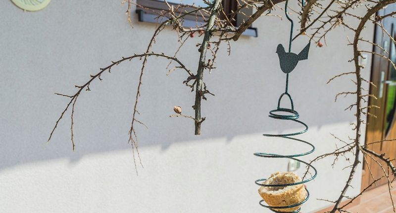 KARMNIK WISZĄCY KARMIDŁO NA POKARM DLA PTAKÓW 32cm zdjęcie 11