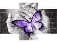 product-compare-58646517